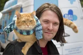 温暖过百万心灵的猫咪去世引起热议，为何流浪猫鲍勃这么受欢迎？图片