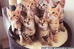 2020版最新法官、检察官表情大全！哈哈哈图片