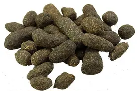 寒号鸟因为不筑巢被冻死了？算了吧，人家都不是鸟图片