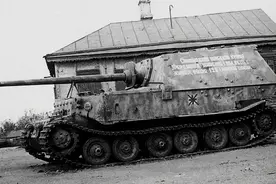 纳粹巨兽——“斐迪南”的故事图片