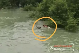 刚炒完菜厨师纵身跳河，食客摔碗跟上，急流中两人干了件大事图片