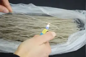只需用火烤一下，真假粉条一看便知，再也不用担心买到假粉条了视频封面