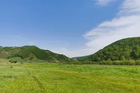 莫书记，您在南方还好吗？图片