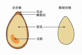 全谷物知多少？图片