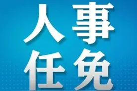 海口市拟任干部人选公告图片