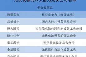A股有望高成长的六大光伏设备龙头公司图片