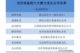 A股有望高成长的六大光伏设备龙头公司图片