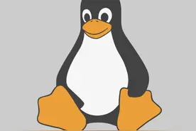 如何快速迁移服务器？整个Linux打包成ISO镜像，实现快速本地部署图片