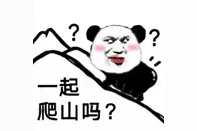 熊猫头气人表情怼图：不要对我心存幻想，你配不上我的图片