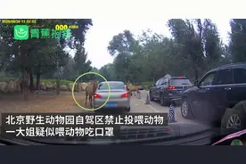 曝光！北京野生动物园游客疑给动物喂口罩，被及时制止图片