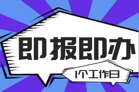 即报即办 一日办结图片