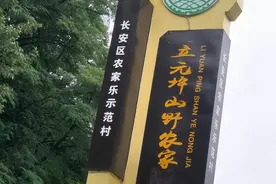 210国道:秦岭立元坪山野农家图片