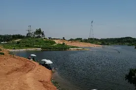 夏日屠鲮记图片