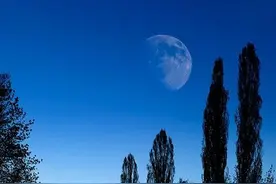 杨立华：儒家精神与现代生活图片
