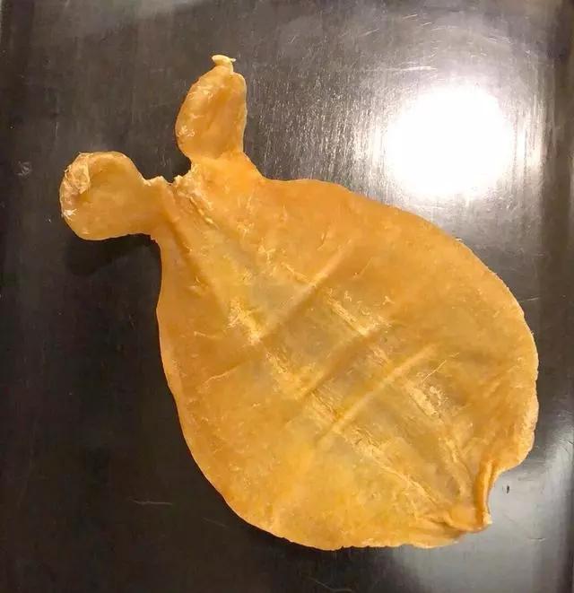 那种海鱼是割花胶 花胶是海鱼做的吗