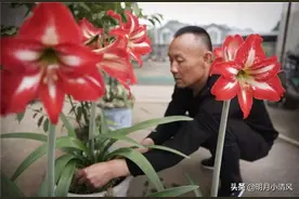 汶川地震中身背亡妻回家的男人，半年后又娶新妻，他如今过得怎样图片