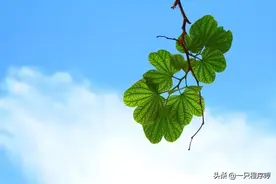 如何打造一款游戏辅助器图片