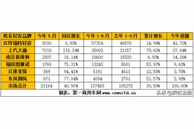 话说福特全顺图片