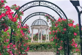 「邯郸市一中」青年才俊 再获殊荣——热烈祝贺邯郸市一中校友申怡飞荣获国际奖学金（全球仅两人）图片