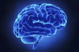 世界上智商最高的5个人都有谁？霍金垫底，爱因斯坦第二图片