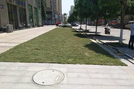 南宁一开发商地砖上种草皮，被业主质疑“突击”搞绿化图片