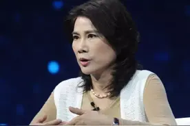 董明珠的车终于问世，车标比奥迪还多一个圈，车价更“离谱”图片