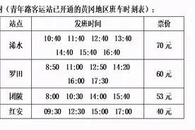 对接“爱心班线”，武汉青年路客运站21日起每天新增4个班次到红安图片