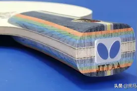 每周乒器观察 89：一块底板可以用多久图片