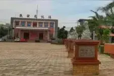 湛江市东海岛民安街道各自然村主要姓氏图片