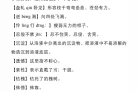 七年级语文下册十七课《紫藤萝瀑布》课文笔记，预习的好帮手图片