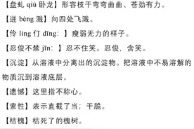 七年级语文下册十七课《紫藤萝瀑布》课文笔记，预习的好帮手图片