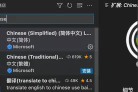 38、VS code必备前端插件图片