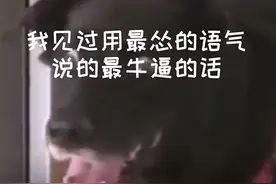 你见过用最怂的语气说的最狠的话是什么？图片
