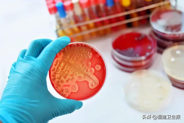 小孩胸口起鸡皮疙瘩