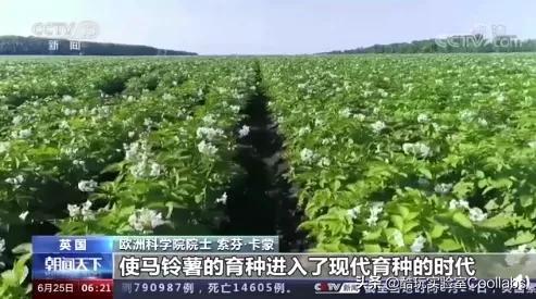 土豆到底能不能当饭吃？袁隆平生前是这么说的