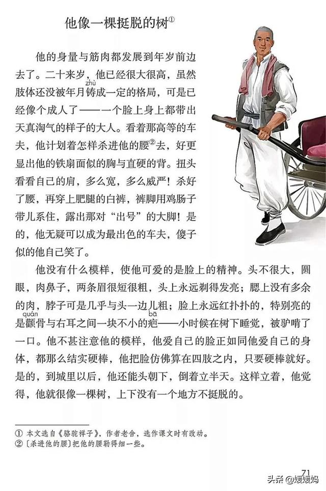 2021春季新部编版小学五年级语文下册电子课本