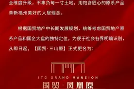 谜之操作，深陷纠纷的国贸凤凰原能否改名即改运？图片