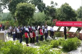 如何保护和利用罗定的红色资源，他们这样建议图片