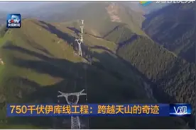 有什么东西是中国能造，外国不能造的？图片