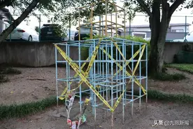 日本17岁少年疑将6岁妹妹殴打致死，当天报案称：妹妹从高处坠落图片