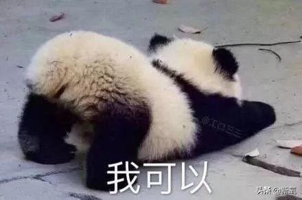 网红服装店的面料都是“包装后”的劣质货？你到底被坑了多少钱！