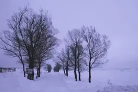 吕杨村赋(甘肃通渭)图片