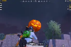 “吃鸡”100件趣事31-35图解：曾有1只会跟随玩家的宠物图片