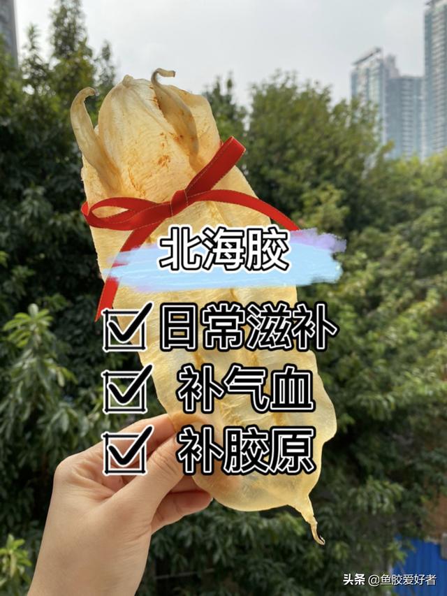 北海鱼胶有什么功效 2026年北海鱼胶有什么功效和作用