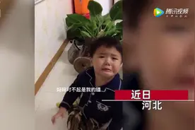 “对不起妈妈”！河北一萌娃不慎打翻花盆，秒变戏精图片