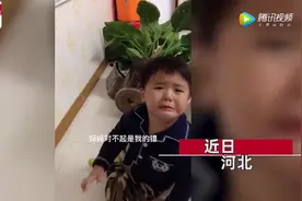 “对不起妈妈”！河北一萌娃不慎打翻花盆，秒变戏精图片