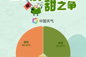 端午节粽子口味地图出炉“甜咸之争”你是哪一派？湖北人最爱的口味是？图片