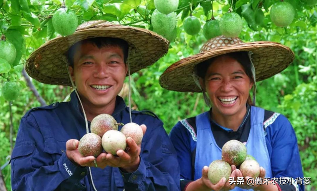 作物上的这3个叶面肥配方，能促长壮棵、增产增收，又能防治病害