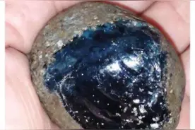 山海经故事7：凤凰发家史，进化论教你一只鸡如何凤仪天下图片