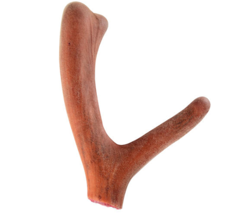 吃鹿茸后不能吃花胶吗 2026年吃鹿茸后不能吃花胶吗